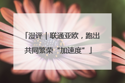 漫评｜联通亚欧，跑出共同繁荣“加速度”